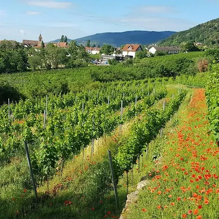 Freiraum * Neustadt an der Weinstrasse