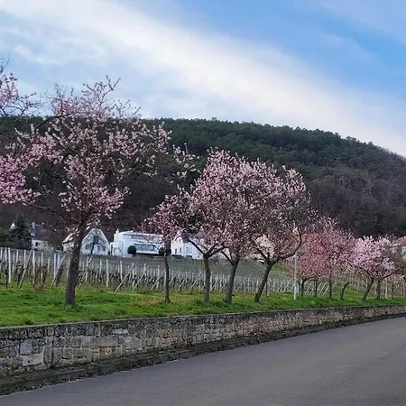 アパート Freiraum