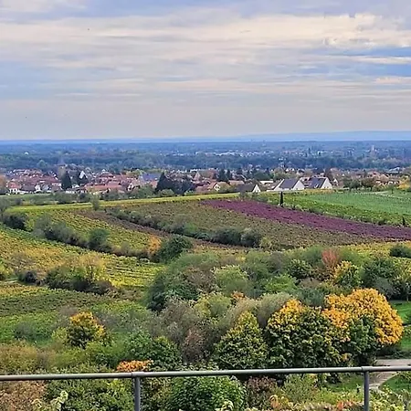 Freiraum * Neustadt an der Weinstrasse
