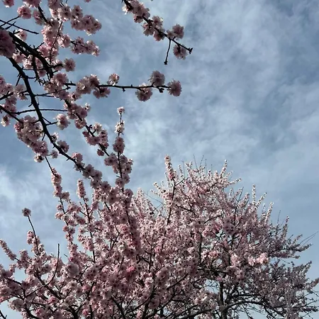 Freiraum * Neustadt an der Weinstraße