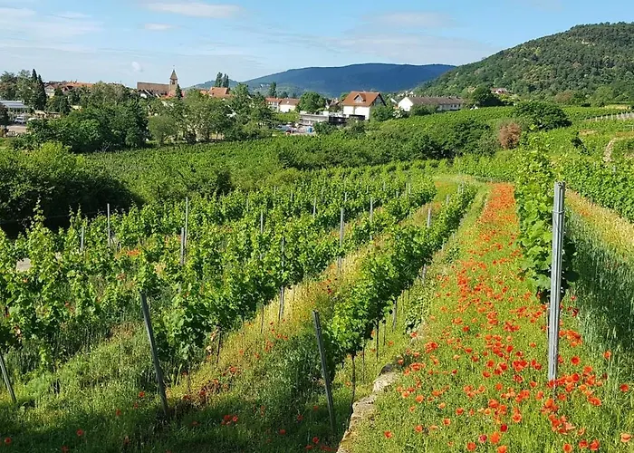 Freiraum * Neustadt an der Weinstraße