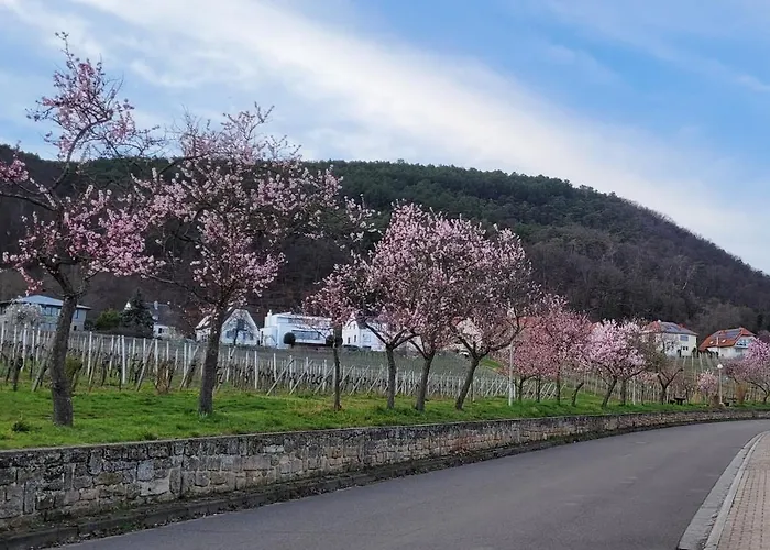 アパート Freiraum