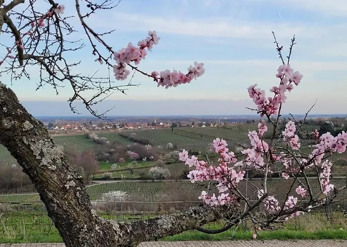 Freiraum Apartment *